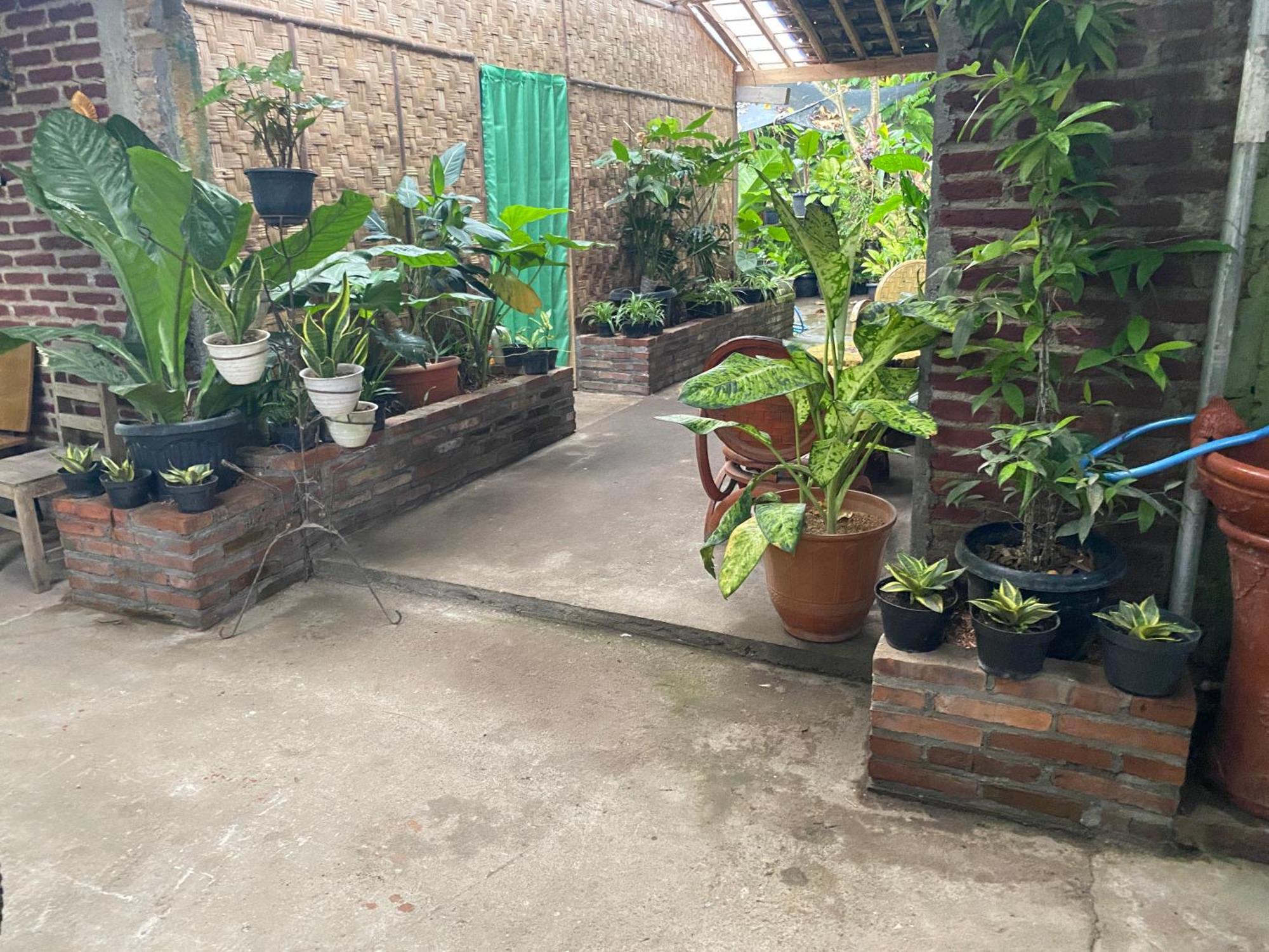 Ada Homestay Magelang Eksteriør bilde
