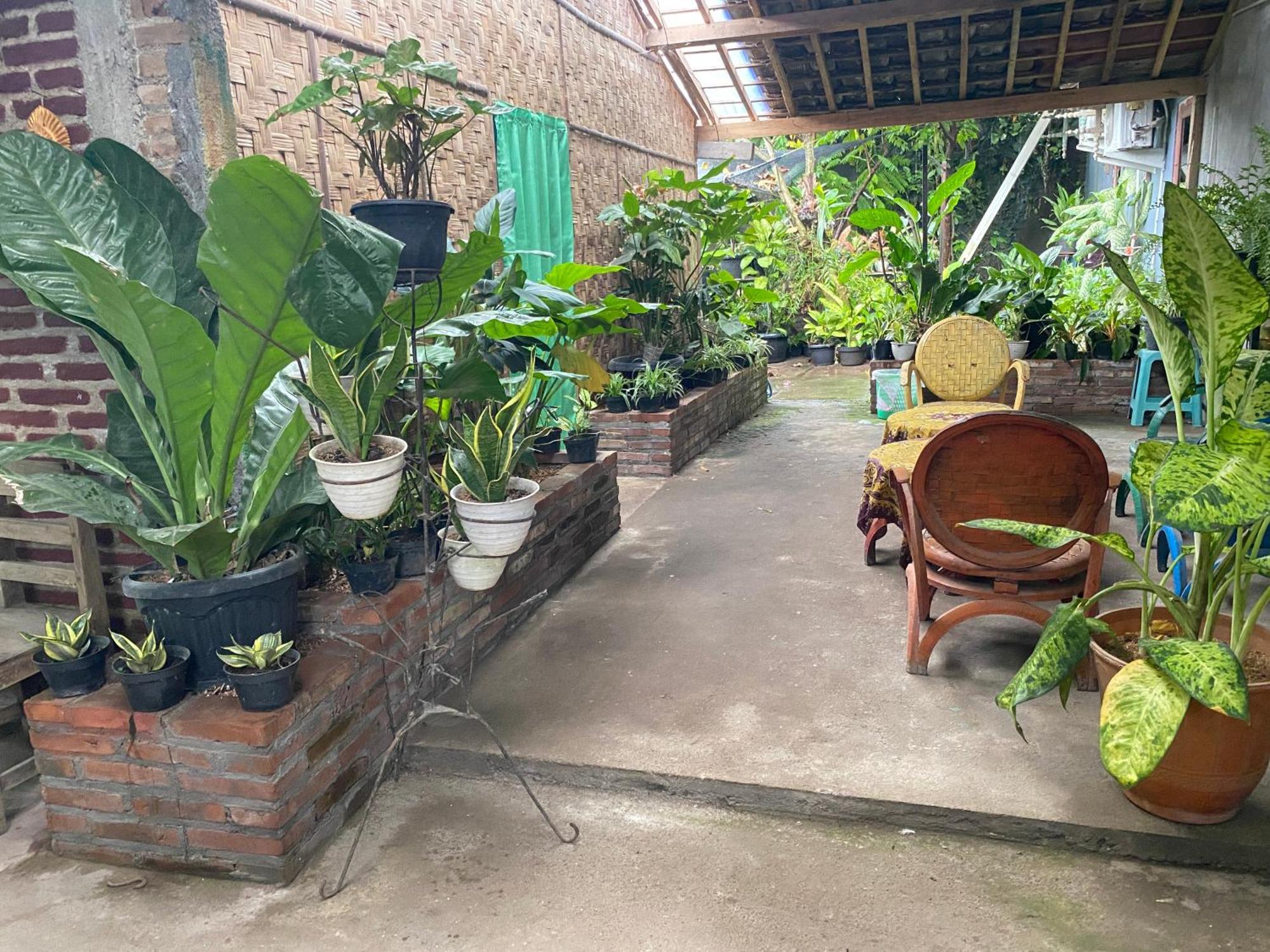 Ada Homestay Magelang Eksteriør bilde