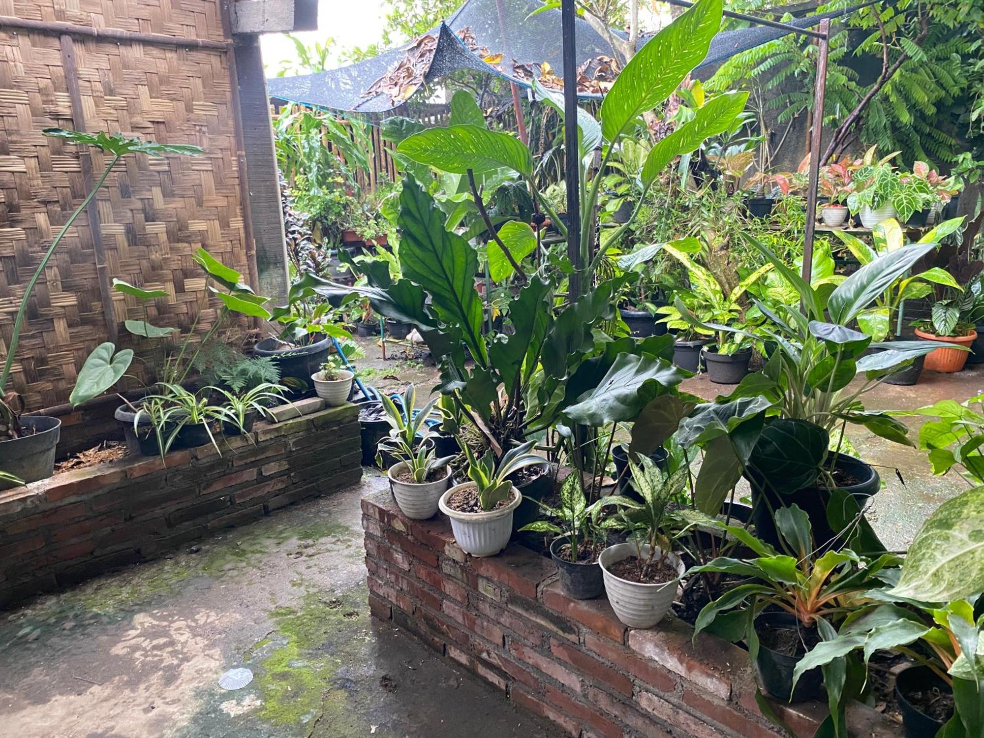 Ada Homestay Magelang Eksteriør bilde